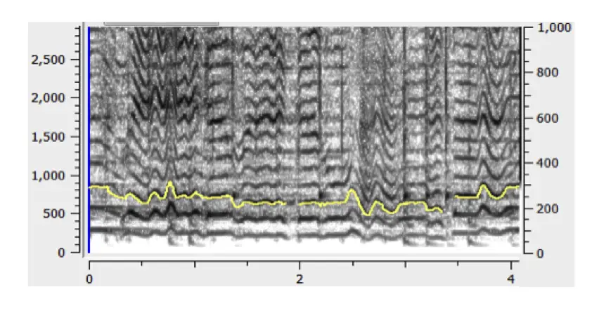 A survey of raaga recognition techniques and improvements to the state-of-the-art